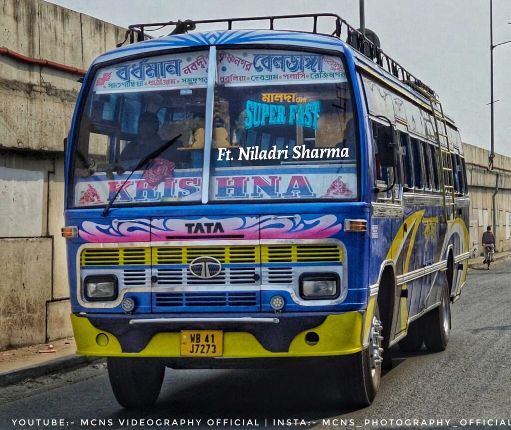 bus photo