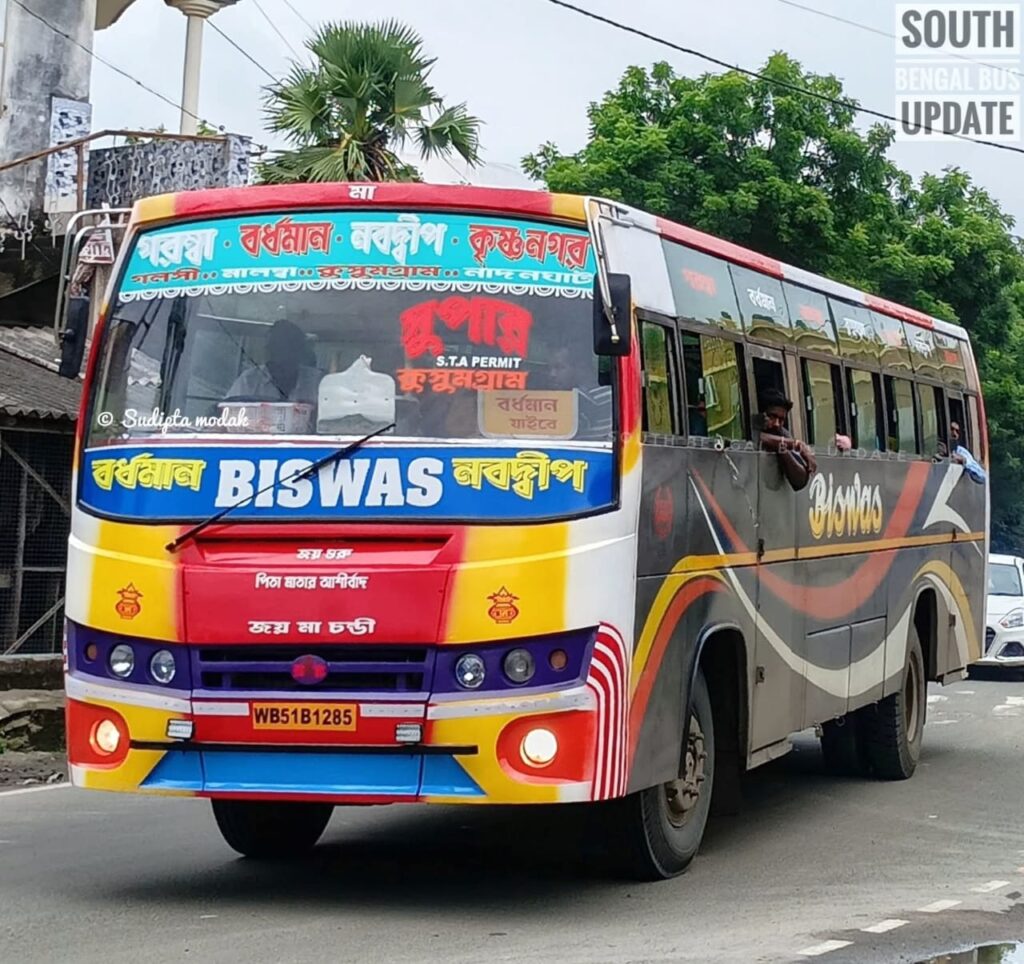 bus photo