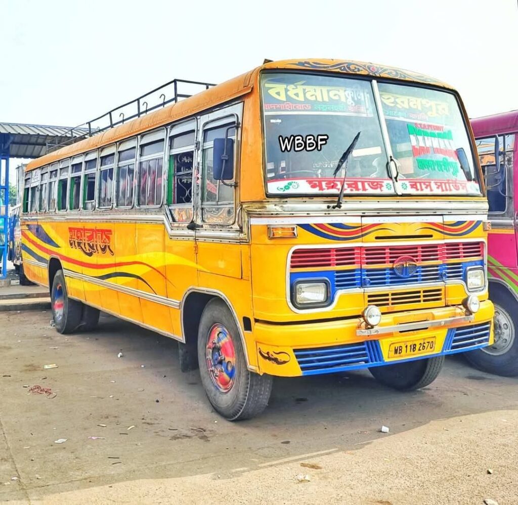 bus photos