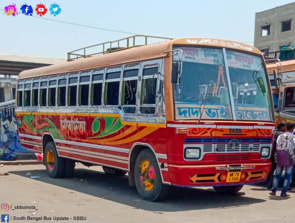 bus photos